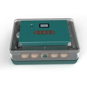 HHD Mini Multifunctional Automatic Small Household Powered Incubator for Chicken Duck Gooes Quail
