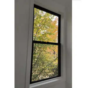 Современные двойные окна из НПВХ с низким стеклом, двойное окно из черного винила с экраном