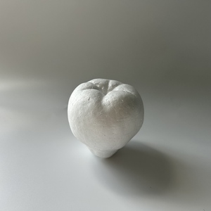 Tự Làm Trang Trí Trái Cây Nhân Tạo Lê Táo Hiển Thị Trái Cây Sống Động Như Thật Giả Táo Thực Tế Trái Cây Mô Hình - Product Image 5