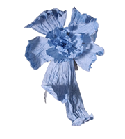Fleurs géantes en papier, fleurs artificielles pour la décoration de mariage, la décoration de fête, la décoration de la maison et les cadeaux