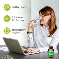 Capsules végétaliennes de choline 500 mg à marque privée OEM pour le soutien cognitif, la santé du foie et le bien-être maternel