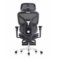 Silla de Oficina Ergonómica Moderna, Giratoria, con Soporte Lumbar de Malla, de Lujo, con Reposapiés, Personalizable