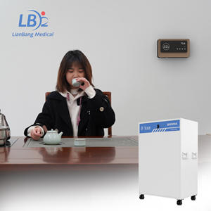CE 인증 가정용 산소 발생기 10L-60L 방 크기 산소 농축기 의료 병원 사용 PSA 필수 특징 - Product Image 6
