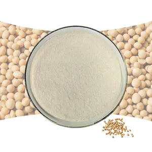 Best Quality Bulk Sales Isolated Soy Protein Factory Supply Hydrolyzed Soy Protein