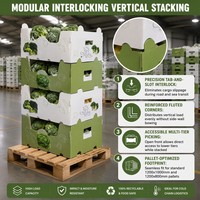 Caisse pliable en PP ondulé pour brocoli, empilable, pour légumes frais, avec système de refroidissement par eau, réutilisable, ventilée, emballage OEM