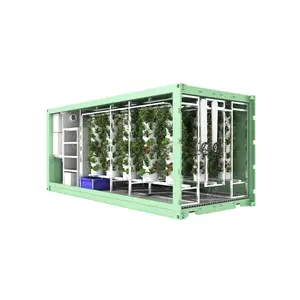 Tipo giratorio Vegetal frondoso 40HQ Microgreen Contenedor Granja Totalmente automático Contenedor hidropónico Sistema agrícola