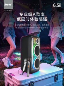 مكبر صوت خارجي للحفلات BTS-2497 برودو مع إضاءة LED مزدوجة 8 بوصة واتصال لاسلكي ومنافذ USB وTF وAUX للكاريوكي الاحترافي - Product Image 5