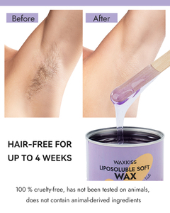 Cera Depilatoria Morbida Nuova Formula del Produttore Cinese, Prezzo Conveniente, per Rimozione Peli, Ingrosso, Cera Morbida Lavanda <span class=keywords><strong>Azulene</strong></span> Miele - Product Image 5