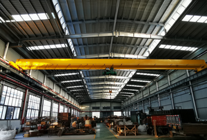 سعر منخفض العارضة واحدة 10 طن EOT جسر رافعة علوي لآلات معدات الرفع - Product Image 6