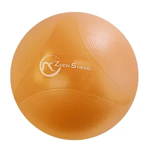 Gym Ball Zhensheng 2024 New Design Brand Promotion Home Gym Fitness Yoga Ball Exrecise Ball Swiss Ball With 9" Pump