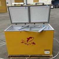 Congélateur Coffre Horizontal Commercial 420 L, Grande Capacité, 2 Portes, Avec Compresseur