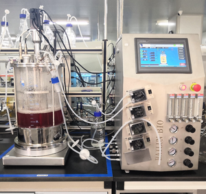 Biorreactor de Cultivo de Tejidos, Sistema de 2 Botellas, Recipiente de Vidrio para Cultivo de Células Vegetales/Animales - Product Image 1