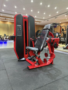 Machine à Rameuse Assise Professionnelle LAND à Charge par Poids, Réglable, avec Pile de Poids de 70 kg pour Exercices de Dos et Entraînement de Force - Product Image 4