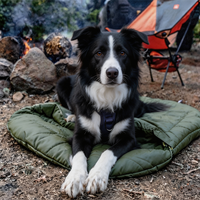 Sacs de couchage pour chiens avec logo personnalisé, sacs de couchage pour chiens pour le camping en plein air, sacs de couchage pour animaux de compagnie fins rembourrés de duvet avec fermeture éclair