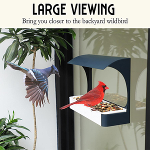 Mangeoire à oiseaux JH-Mech Simple semi-ouvert ruban de montage réglable en hauteur métal et Pvc fenêtre mangeoire à oiseaux pour l'extérieur - Product Image 2