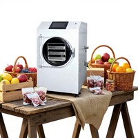 Automatische elektrische verwarming, hoog rendement mini-vriesdroogmachine voor fruit- en voedselverwerking