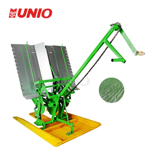 低价2排迷你手动插秧机手动水稻种植机 - Product Image 2