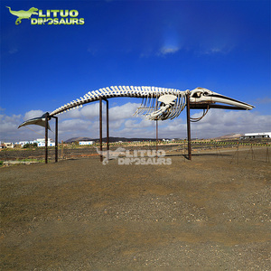 Giáo Dục Kích Thước Cuộc Sống Động Vật Thực Tế Bộ Xương Cá Voi - Product Image 4