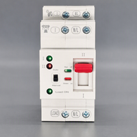 Saklar Transfer Otomatis AC 220V 2P PC ATS 63A 50Hz Pemasangan Rel DIN Saklar Pengalih Daya Ganda untuk Panel Surya