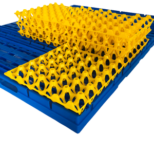 High quality Stackable and durable 30 Hole Farm Chicken Plastic Egg Shakers transport packing Crates Grille Egg Trays for Save