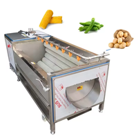 Commerciële Automatische Roestvrijstalen Borstelwasmachine Voor Aardappel, Zoete Aardappel, Taro-Reiniging