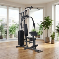 MaiBu Fit Station de musculation complète unisexe multi-usages en acier inoxydable, réglable, 2-en-1, design portable