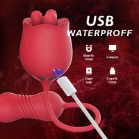 Vibrateur Rose 4 en 1, étanche, pour femmes, vibrateur clitoridien, vibrateur point G, vibromasseur bullet, boule de Kegel, rechargeable par USB, jouet rose