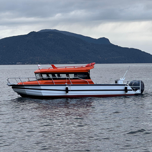 Bateau de pêche en aluminium de 9 m (30 pieds) à grande vitesse avec cabine, idéal pour l'eau salée, modèle Easycraft, à vendre avec moteur - Product Image 6