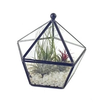Terrarium géométrique en verre noir pour plantes succulentes, fougères, plantes aériennes, mini-jardin féerique, cadeau
