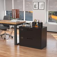 Armoire de classement latérale à 2 tiroirs, verrouillable, en métal, pour bureau, maison, école, avec rail de classement suspendu