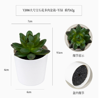 Mini plante succulente artificielle en pot, fleur en PVC givré, style pierre précieuse, bonsaï écologique et durable pour mariage, Noël, Nouvel An