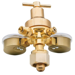 ตัวปรับแรงดันออกซิเจน WQ 2.525MPa แบบสองขั้นตอนสำหรับงานเชื่อมและตัด - Product Image 3
