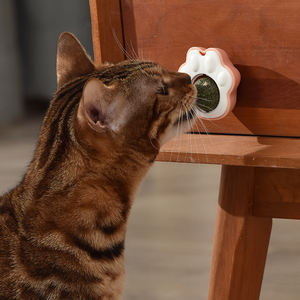 Nueva moda, divertido juguete interactivo de hierba gatera de plástico, juguete para gatos con ventosa de hierba gatera - Product Image 2