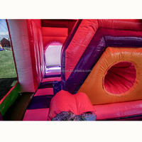 Château gonflable commercial pour enfants, toboggan rose amusant, combo de fête pour enfants, château gonflable extérieur, parc à thème
