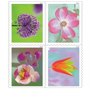 ABD Sonsuza Dek 2025 Amerikan Bayrağı Pullu Rulo 100 Posta Yüzüğü Toplu Paket Aşk Koleksiyonu - Product Image 5