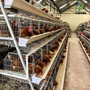 Jaulas <span class=keywords><strong>de</strong></span> batería automáticas <span class=keywords><strong>de</strong></span> tipo gallinero <span class=keywords><strong>de</strong></span> gran venta para gallinas <span class=keywords><strong>de</strong></span> <span class=keywords><strong>Guinea</strong></span> |   Capacidad para 90-160 Pollos |   Cría <span class=keywords><strong>de</strong></span> gallinas ponedoras - Product Image 2