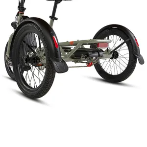 ยางล้อรถอลูมิเนียมอัลลอยด์จักรยานขนาดเล็ก3ล้อจักรยานไฟฟ้า31-60กม. 14นิ้วแบบ20in