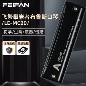 Feifan 10 Hole Blues Harmonica Mc20 Diatonic Mouth Organ For Beginners And Professionals Made In China - Product Image 3