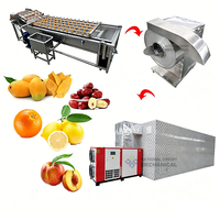 Automatische fruit- en groentedroger voor grapefruit, shaddock, sinaasappel en mango, inclusief droog- en verpakkingsinstallatie
