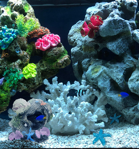 Resina Betta Fish Tank accessori Blue Star Fish Ornaments Shell Broken Barrel Fish Cave Hide Tank Accessories - Product Image 6