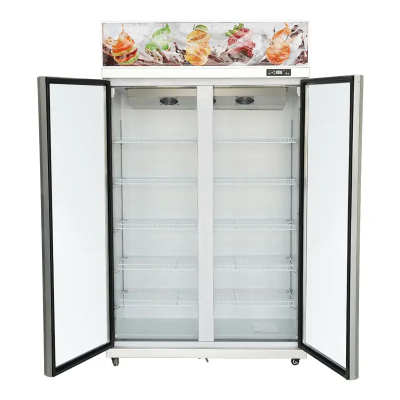 Harga grosir Outlet air Internal dua pintu komersial efisiensi tinggi lemari minuman Freezer