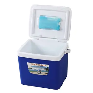 Doğrudan 8L 15L kamp satan üreticiler soğuk katlanabilir yalıtımlı konteyner gıda teslimat balık buzluk çanta kutu