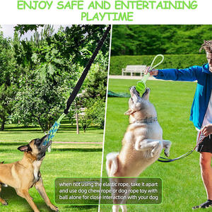 Köpek açık Bungee asılı oyuncak interaktif <span class=keywords><strong>Tether</strong></span> römorkör oyuncak köpekler için egzersiz ve yalnız Chew halat oyuncak ile oynamak - Product Image 6