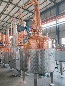 Ligne de production de whisky/<span class=keywords><strong>gin</strong></span>/brandy ZJ distillateur d'<span class=keywords><strong>alcool</strong></span> distillateur de cuivre distillateur de moonshine distillateur d'<span class=keywords><strong>alcool</strong></span> encore - Product Image 2