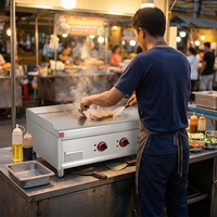Plaque de cuisson électrique professionnelle multifonctionnelle en acier inoxydable avec plaque en fonte, machine à crêpes et gaufres, pour brochettes et crêpes