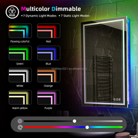 Miroir personnalisable avec lumière LED Couleur de la lumière LED Miroir intelligent Fonction de mémoire Paramètres d'éclairage personnalisés