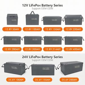 Batería Solar de Iones de Litio de 12V 20Ah 100Ah 120Ah 180Ah 200Ah con Cargador - Product Image 4