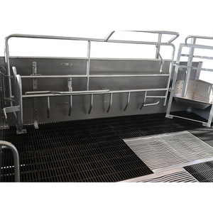 Gabbia per Parto Suini Stile Europeo per Suine da Allevamento |   Lettino da Parto Regolabile per Suini, per Allevamenti di Maiali - Product Image 4