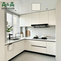 Armoires de cuisine personnalisées pré-assemblées SLS avec unités modulaires, armoires de cuisine pour projet moderne, mobilier pour toute la maison