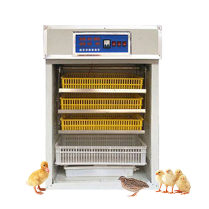 5000鸡蛋培养箱/太阳能鸡蛋培养箱/全自动鸡蛋培养箱用于5280pcs - Product Image 4